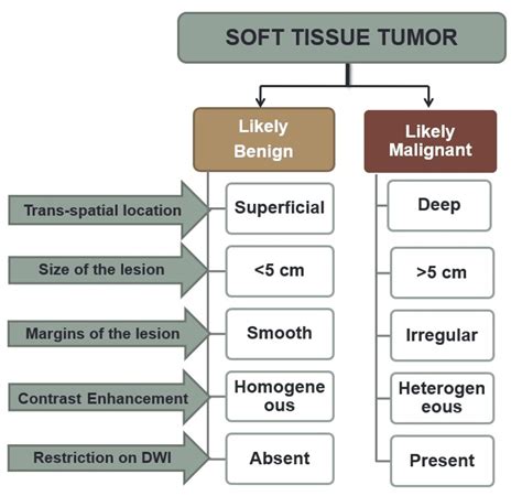 testing soft tissure|soft tissue injury imaging.